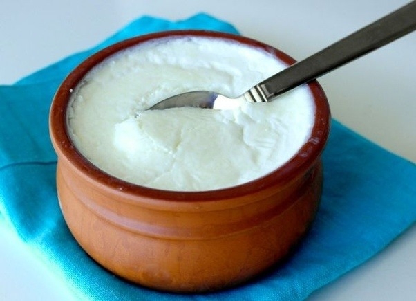 Curd / Dahi/ Yogurt - Shrinathdham